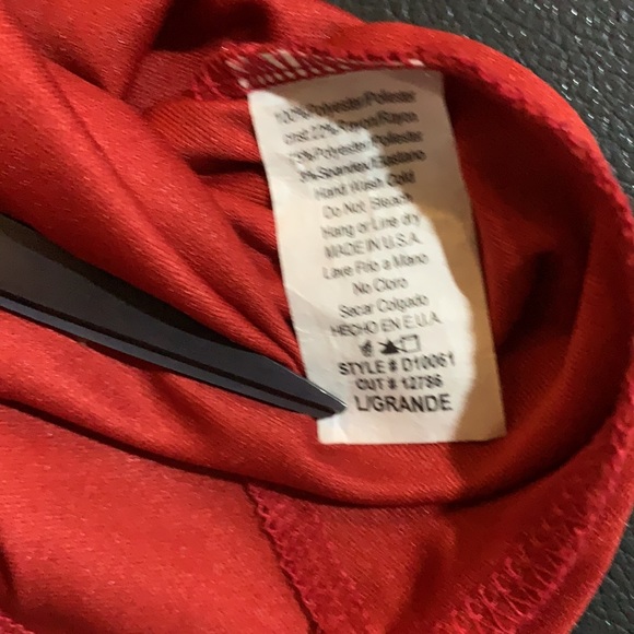 L Trac dress. black and white striped bust with brick color detail. - Picture 5 of 5